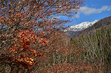 中尾高原・新穂高温泉