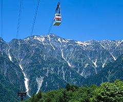 レールマウンテンバイクGattanGo!