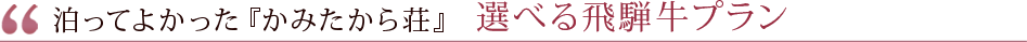 かみたから荘　選べる飛騨牛プラン